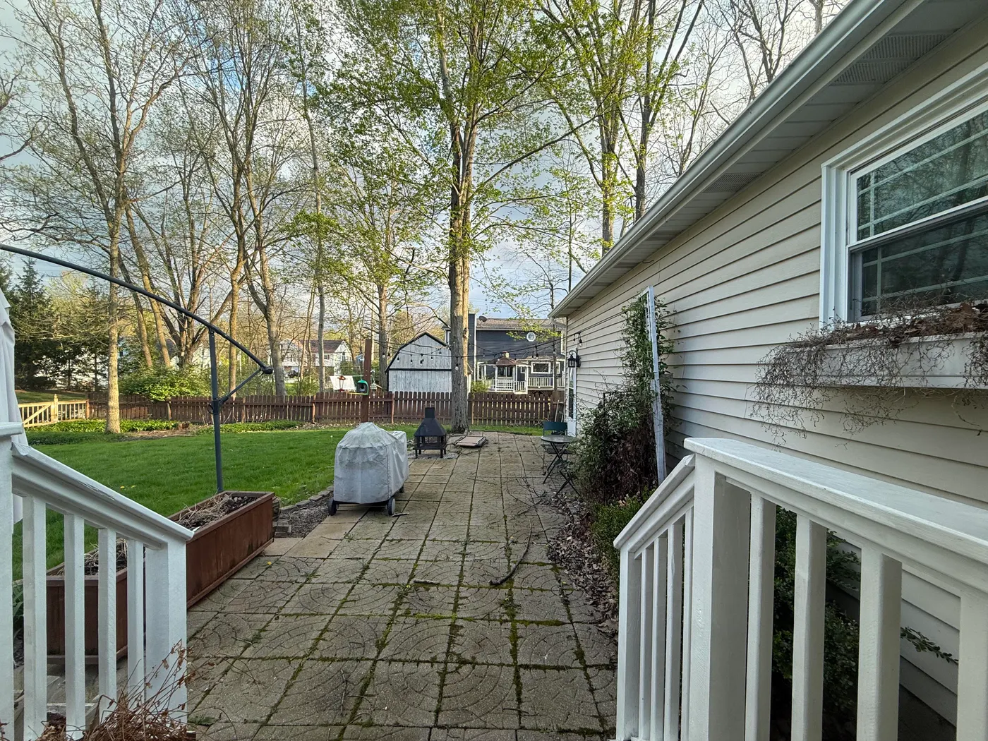 Before: The real backyard