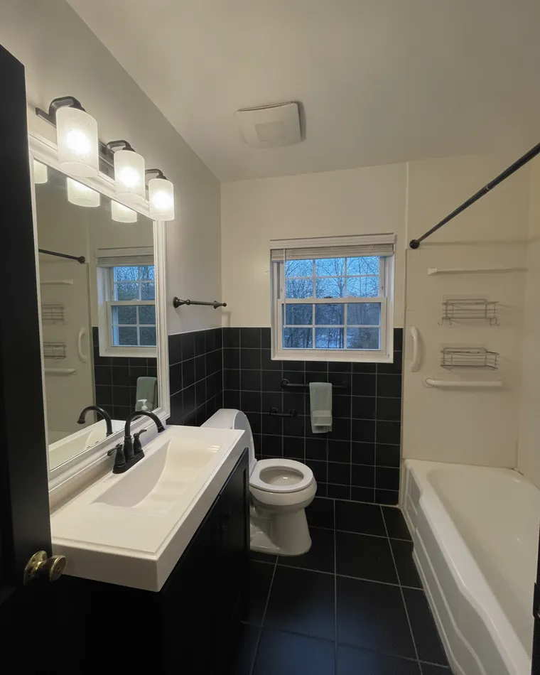 Black and white bathroom idea: black tile on the lower half of the walls and floor with white paint above