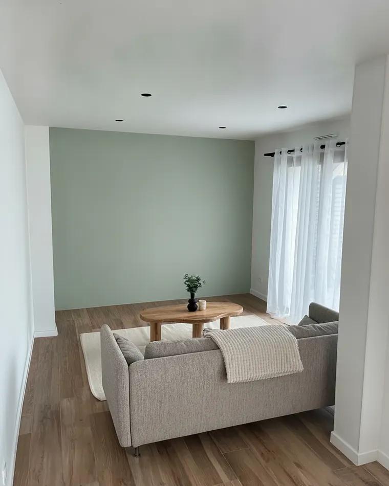 Accent wall living room idea: soft sage green painted wall behind a grey sofa with white side walls