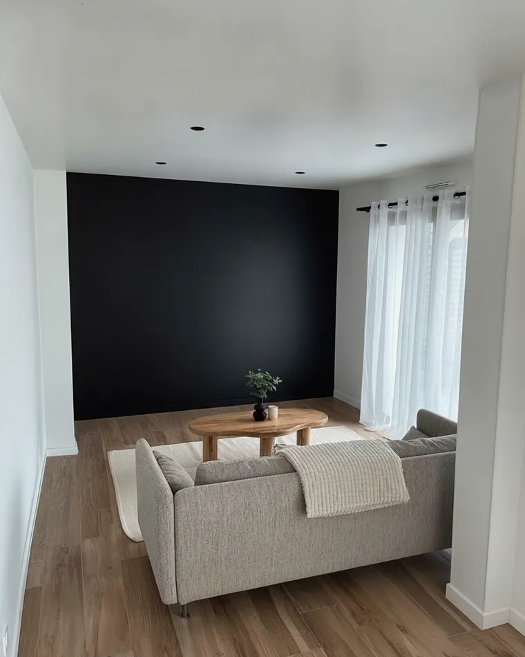 Dark accent wall living room idea: matte charcoal black wall behind a grey sofa, white walls either side