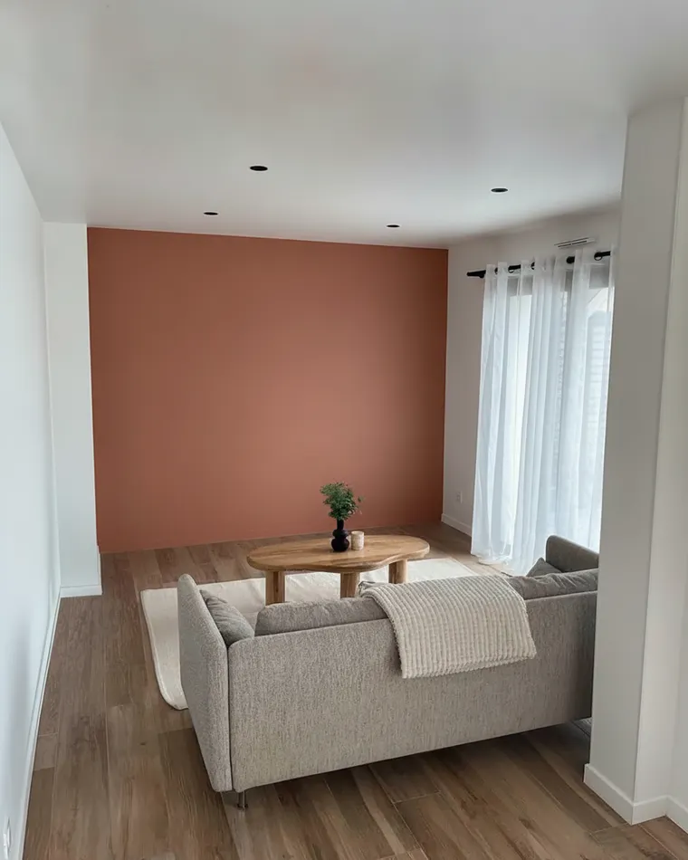 Living room accent wall colour idea: warm terracotta painted wall behind a grey sofa on a wood floor