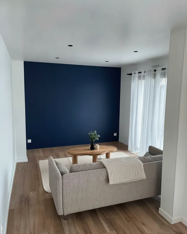 Living room accent wall idea: one wall painted deep navy blue behind a grey sofa, other walls white