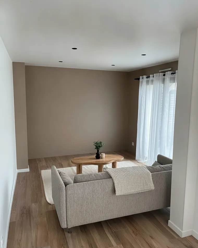 Neutral paint colors for living room: mushroom taupe walls, mid-tone brown-grey, with a grey sofa and white ceiling