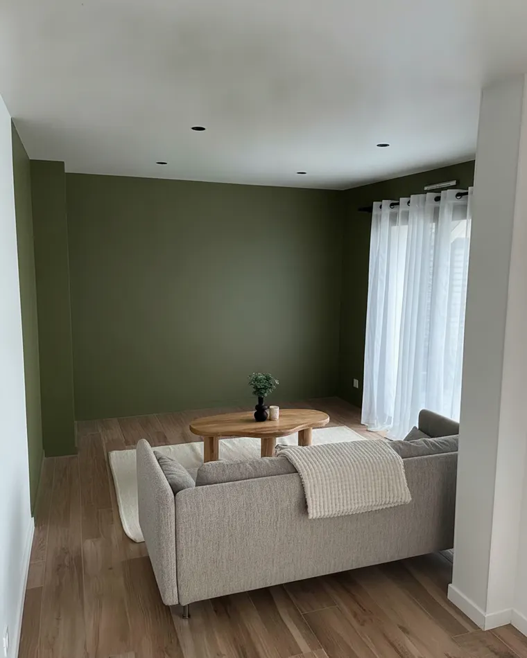 Deep living room paint colour: olive green walls on all four sides with a grey sofa and a white ceiling